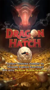 dragon hatch